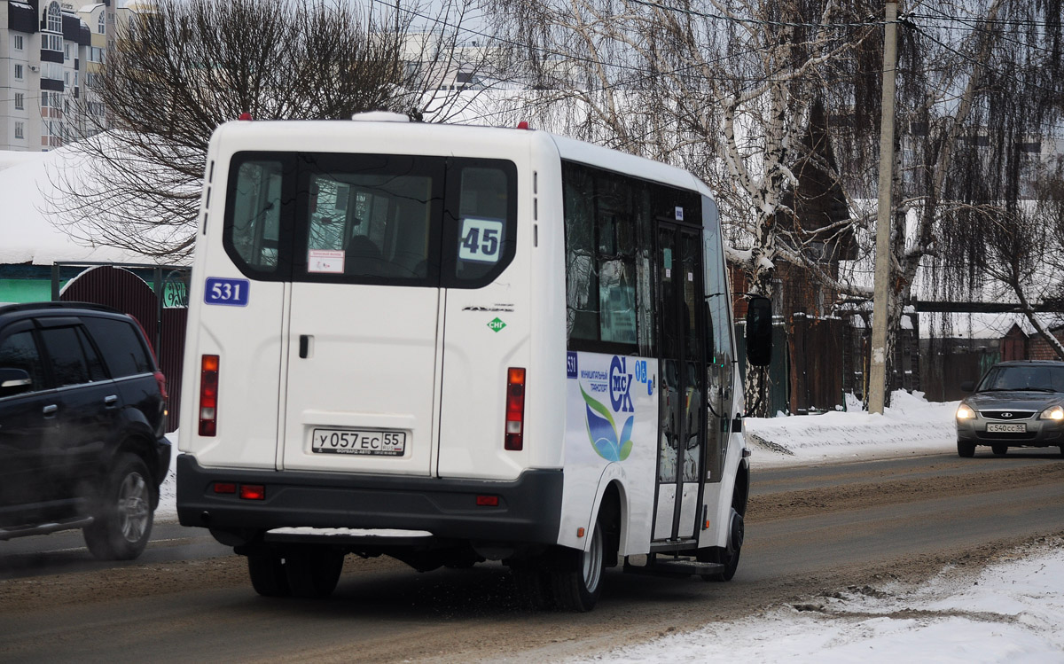 Omsk region, Luidor-2250DS (GAZ Next) č. 531