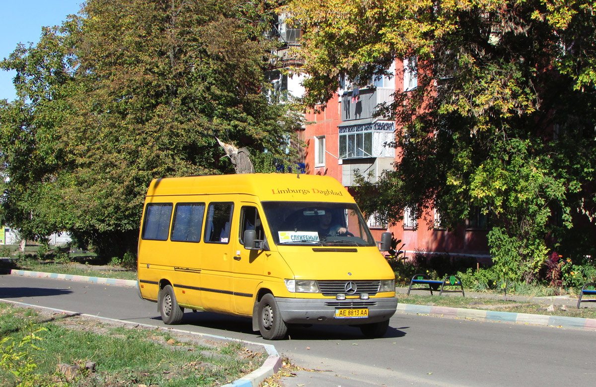 Днепропетровская область, Mercedes-Benz Sprinter W903 310D № AE 8813 AA