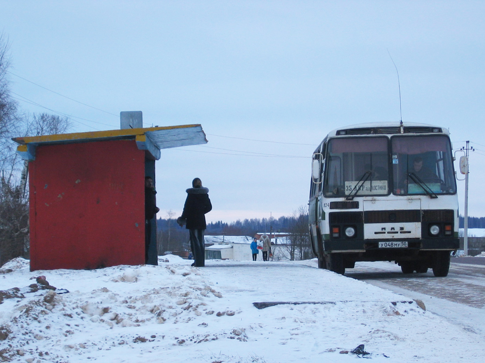 Московская область, ПАЗ-3205-110 № 024