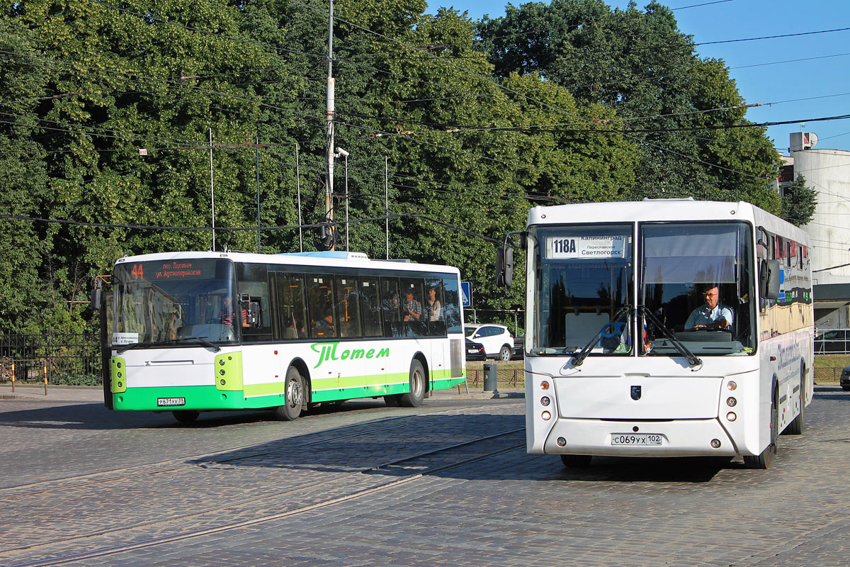 Маршрут 118. Автобус 118 в Светлогорск. Автобус 118 Калининград Светлогорск. Светлогорск Калининградская автобус. Автобус Калининград Светлогорск.