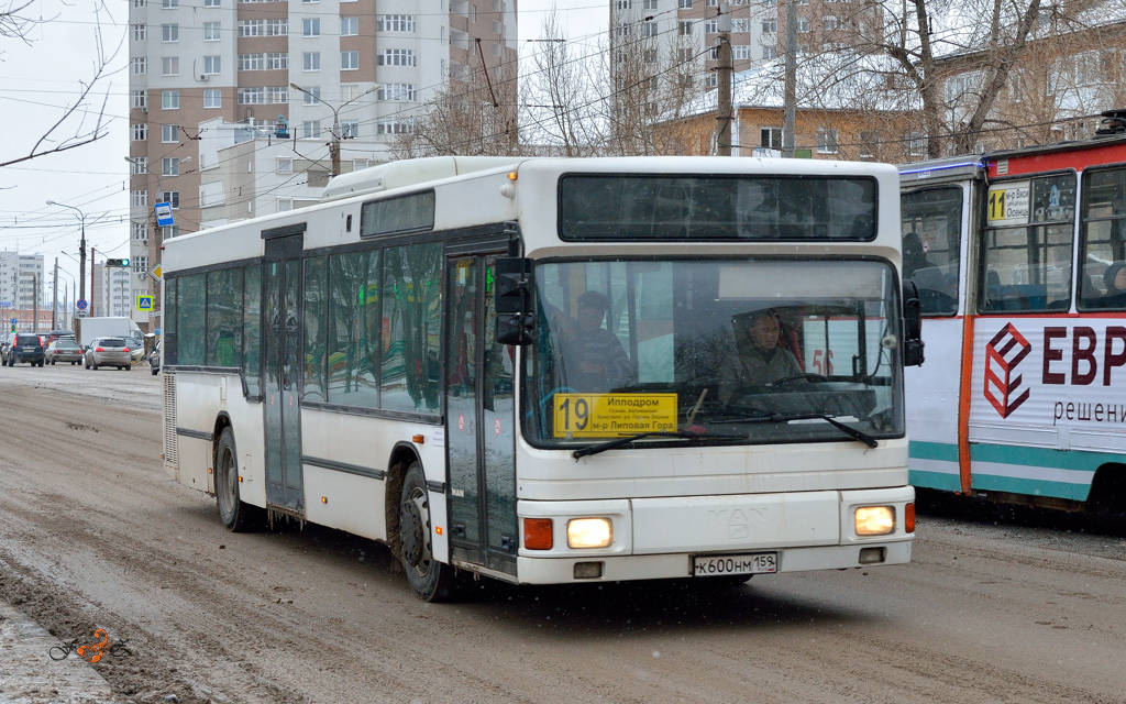 Perm region, MAN A10 NL262 № К 600 НМ 159