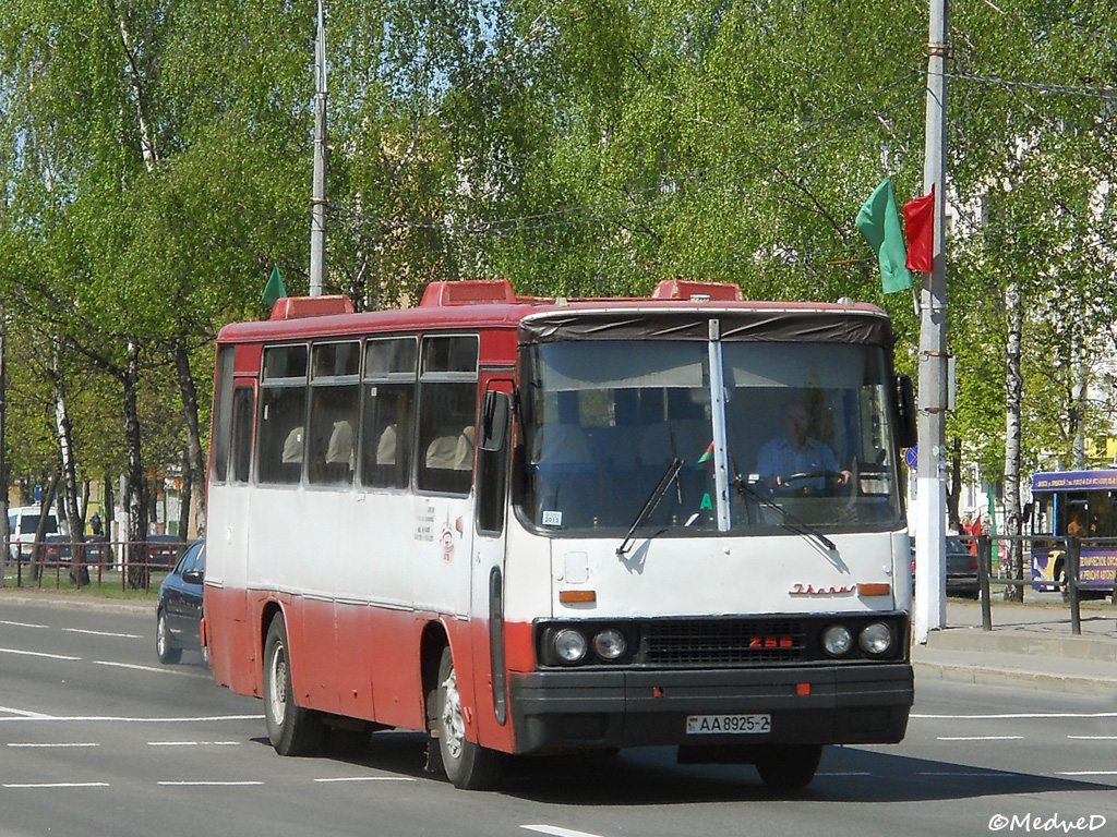 Витебская область, Ikarus 256.75 № 033316