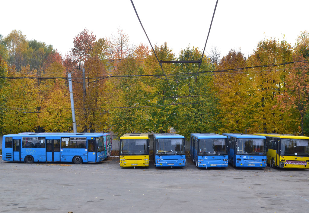 Obwód wołyński, Bogdan A1441 (LuAZ) Nr 23; Obwód wołyński, Bogdan A1441 (LuAZ) Nr 46; Obwód wołyński, Bogdan A1441 (LuAZ) Nr 31; Obwód wołyński, Bogdan A1441 (LuAZ) Nr 22; Obwód wołyński, Bogdan A1441 (LuAZ) Nr 28; Obwód wołyński, Bogdan A1441 (LuAZ) Nr 45; Obwód wołyński — Autobus garages