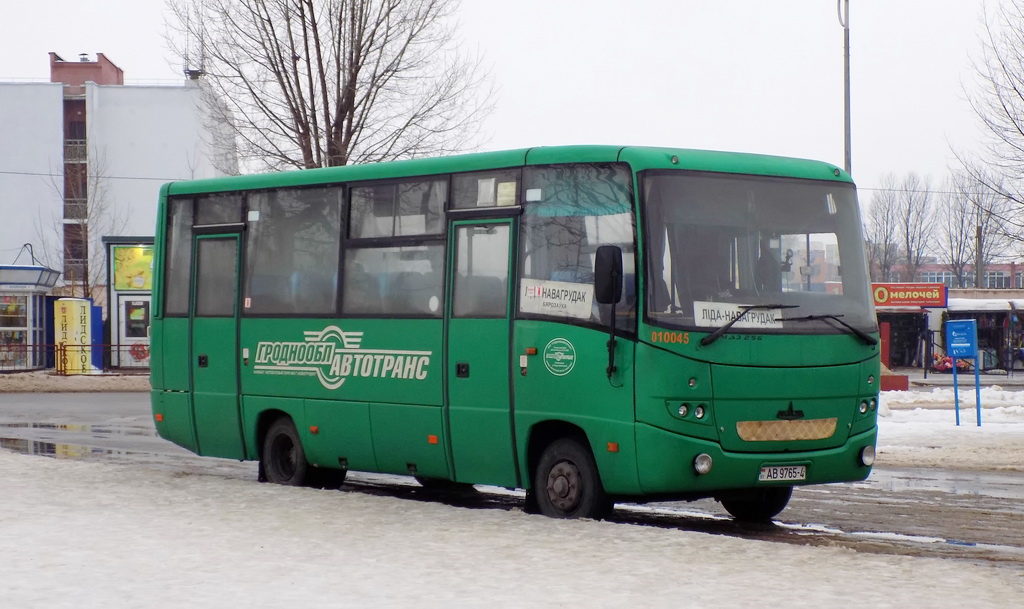 Гродненская область, МАЗ-256.170 № 010045