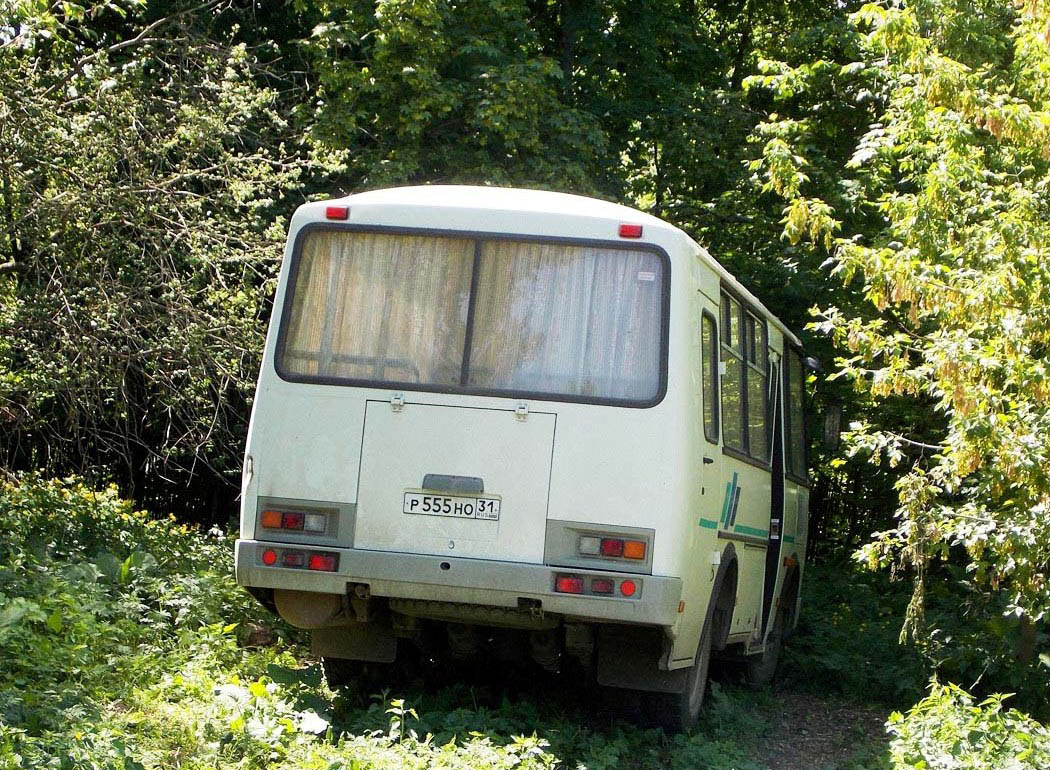 Белгородская область, ПАЗ-32053 № Р 555 НО 31