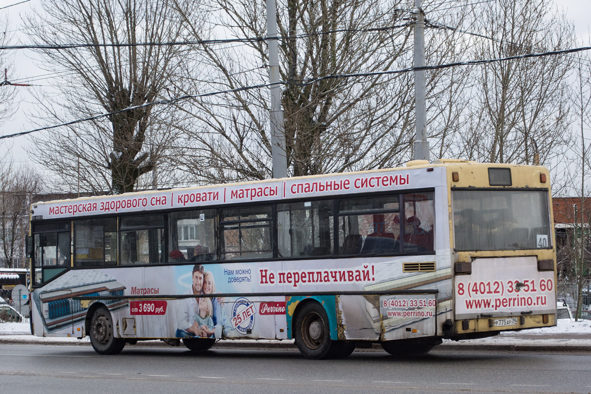 Калининградская область, Mercedes-Benz O405 № Р 775 АР 39