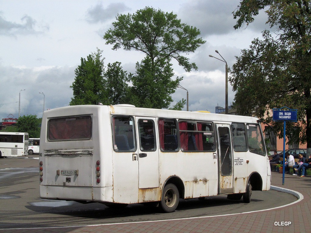 Витебская область, ГАРЗ А0921 "Радимич" № 021962