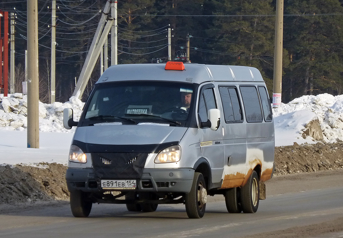 Новосибирская область, ГАЗ-322100 (XTH, X96) № Е 891 ЕВ 154