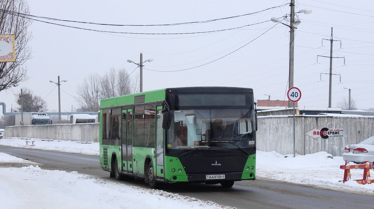 Брестская область, МАЗ-206.060 № 343