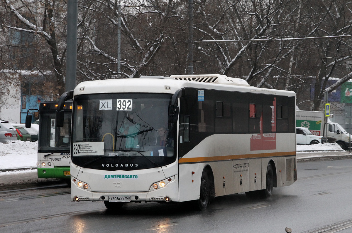 Автобусы королев. МАЗ 203 Домтрансавто. Автобус 392 королёв. Автобус 392 Королев-Москва. Домтрансавто Королев.