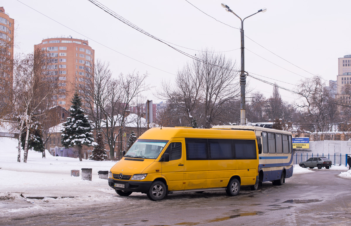 Запорожская область, Mercedes-Benz Sprinter W903 311CDI № AP 0389 BA