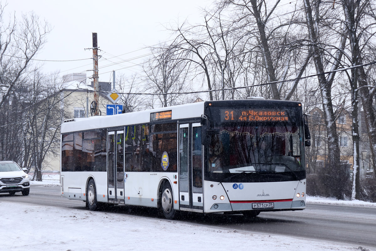 Калининградская область, МАЗ-203.169 № Р 571 СР 39