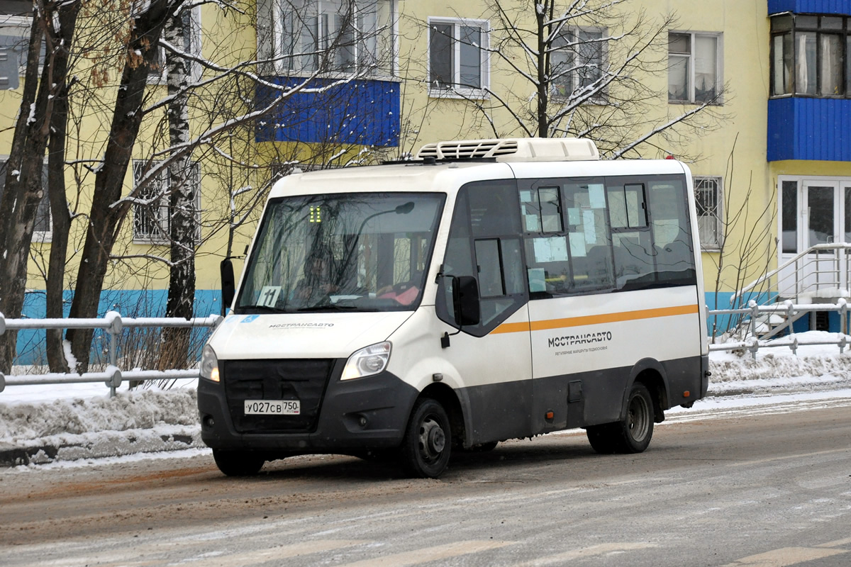 Московская область, Луидор-2250DS (ГАЗ Next) № 0659