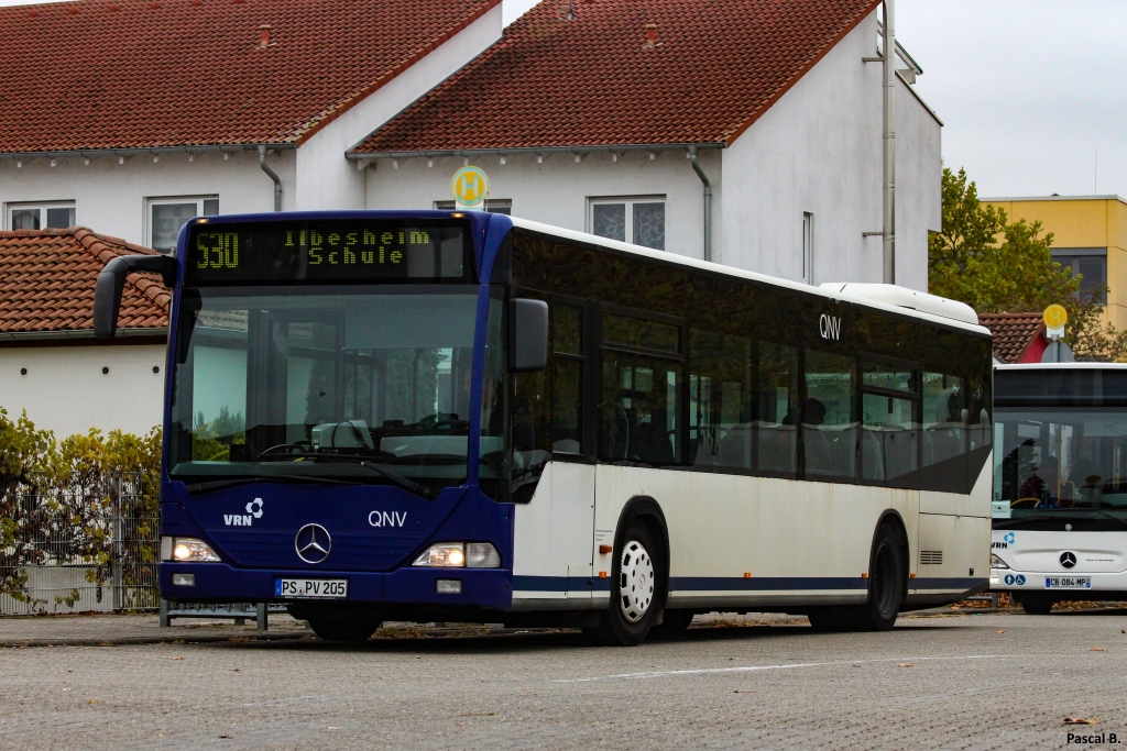 Rhineland-Palatinate, Mercedes-Benz O530 Citaro # PS-PV 205