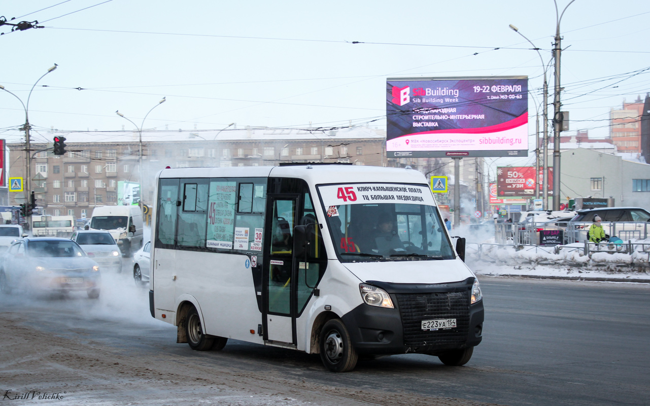 Новосибирская область, ГАЗ-A64R42 Next № Е 223 УА 154