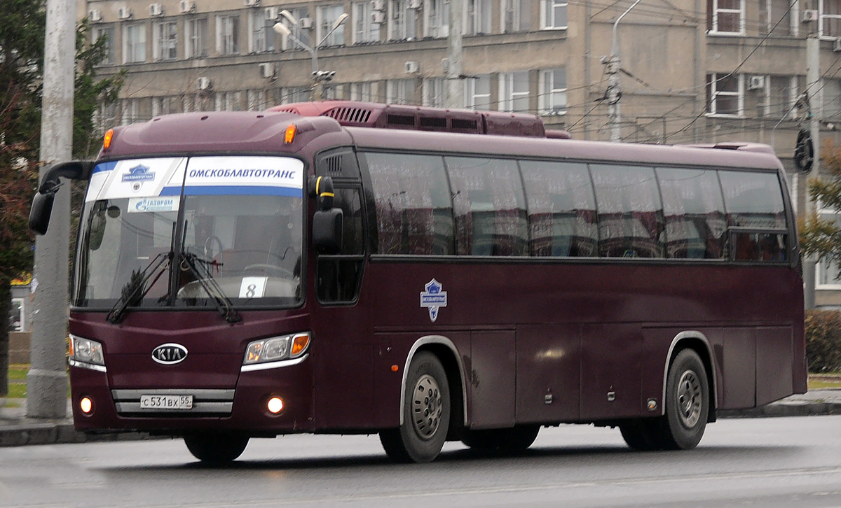 Омская область, Kia KM948 Granbird Greenfield № 189