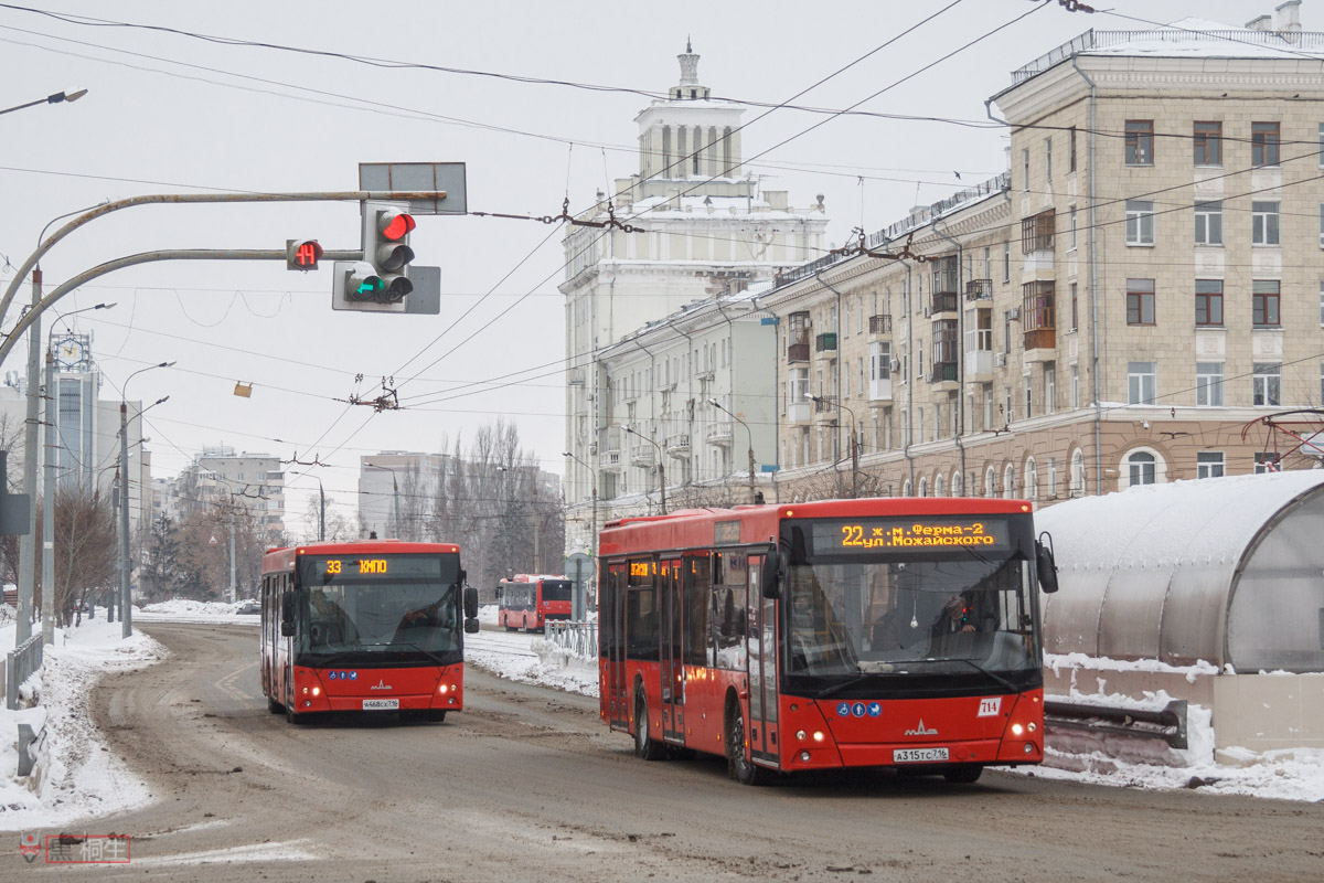 Татарстан, МАЗ-203.069 № 714