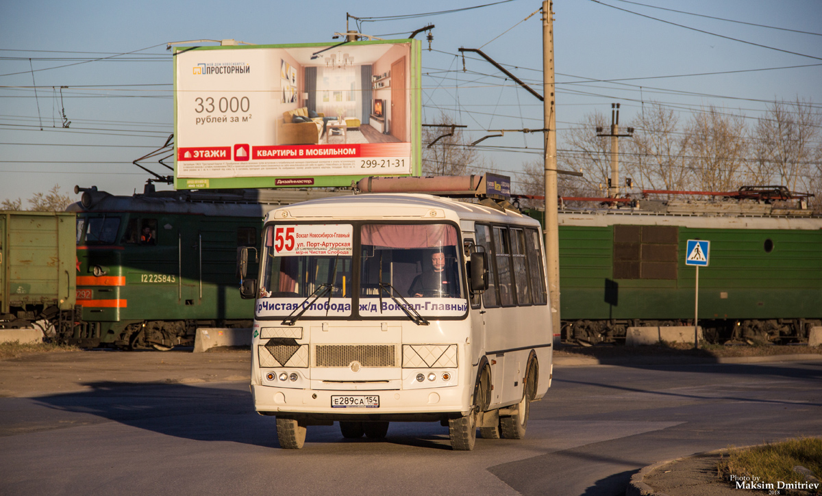 Новосибирская область, ПАЗ-32054 № Е 289 СА 154