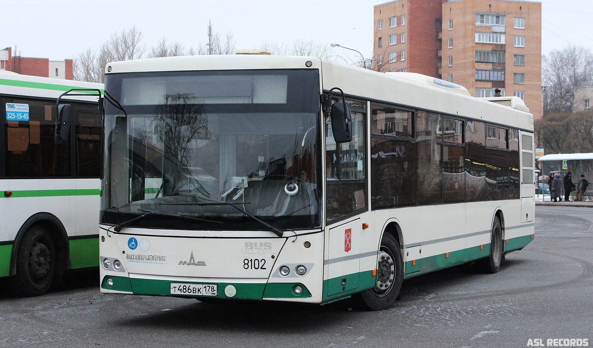 Saint Petersburg, MAZ-203.085 # 8102