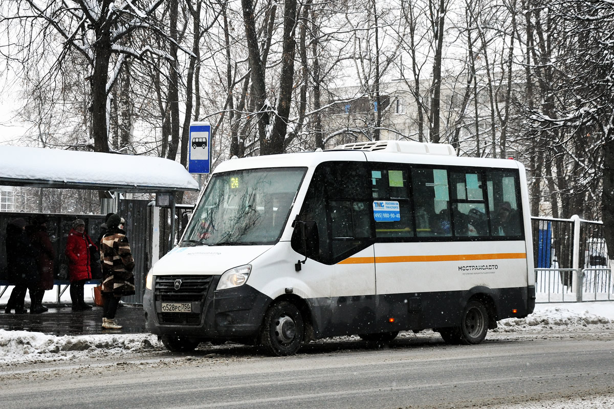 Московская область, Луидор-2250DS (ГАЗ Next) № 1771