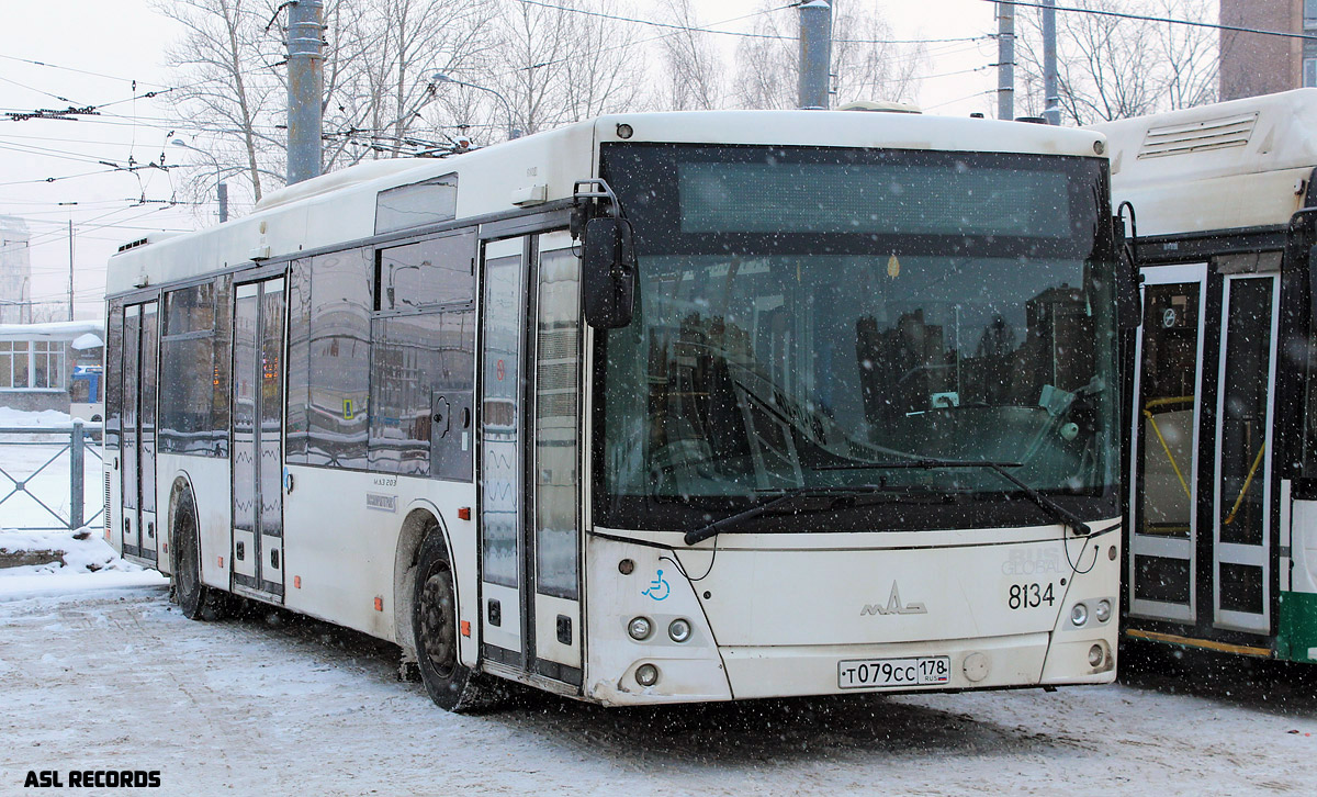 Санкт-Петербург, МАЗ-203.085 № 8134