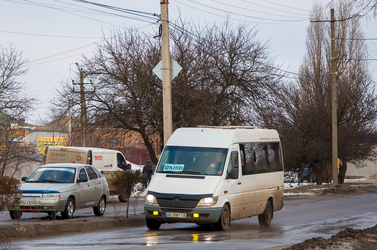 Днепропетровская область, Mercedes-Benz Sprinter W903 313CDI № AE 0581 IA