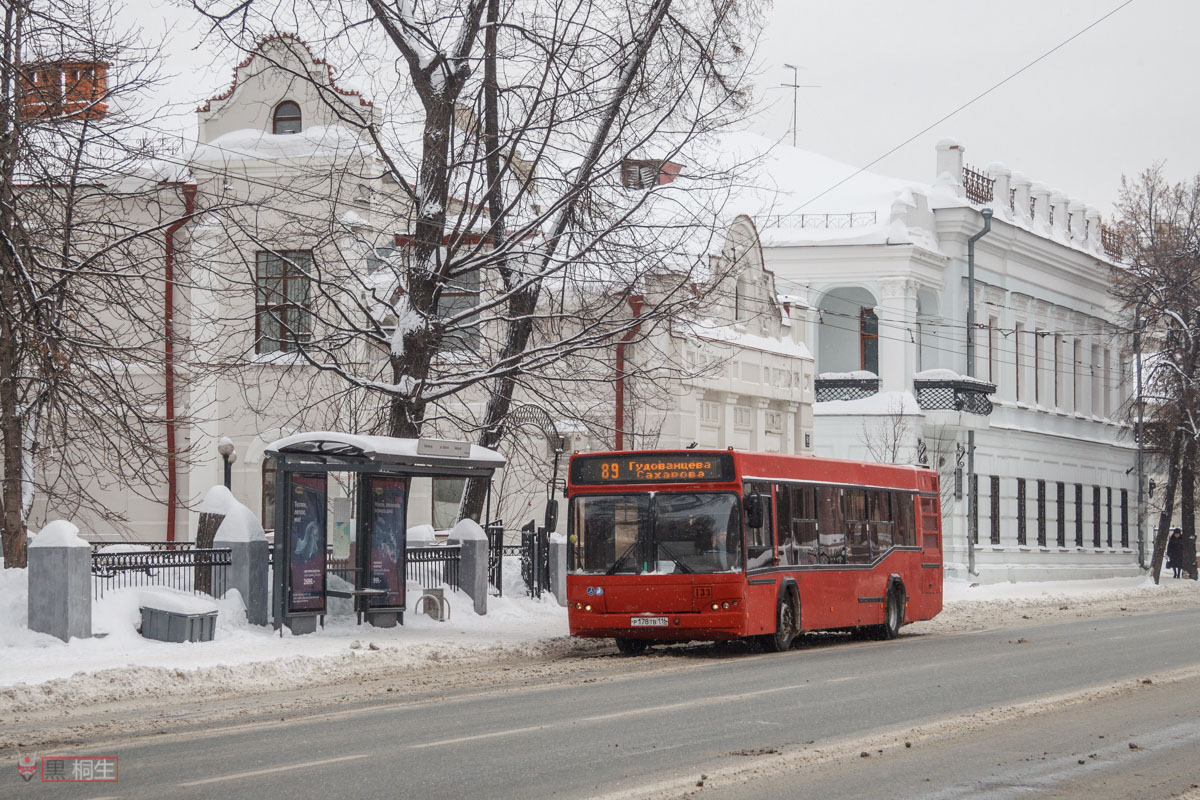 Татарстан, МАЗ-103.465 № 133