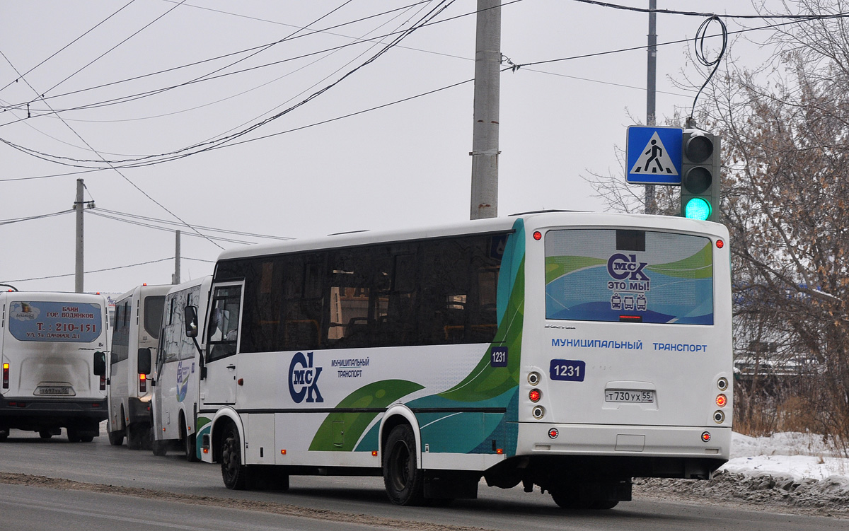 Омская область, ПАЗ-320414-04 "Вектор" (1-2) № 1231