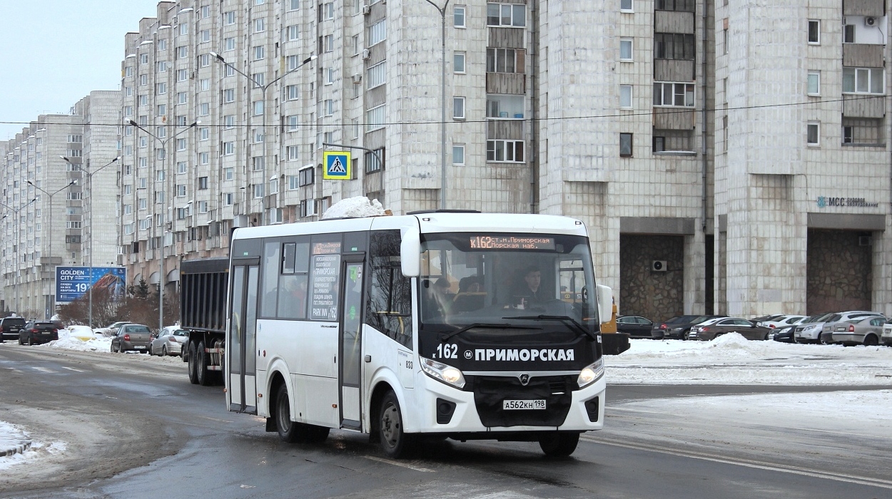 Санкт-Петербург, ПАЗ-320435-04 "Vector Next" № 833