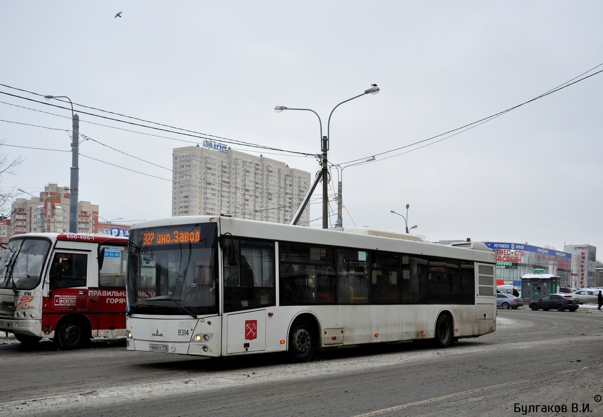 Санкт-Петербург, МАЗ-203.085 № 8314