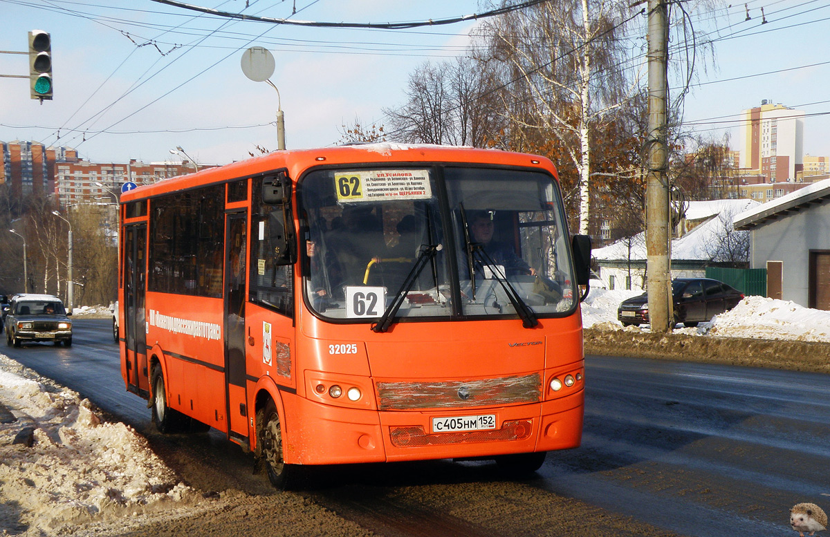 Нижегородская область, ПАЗ-320414-04 "Вектор" № 32025