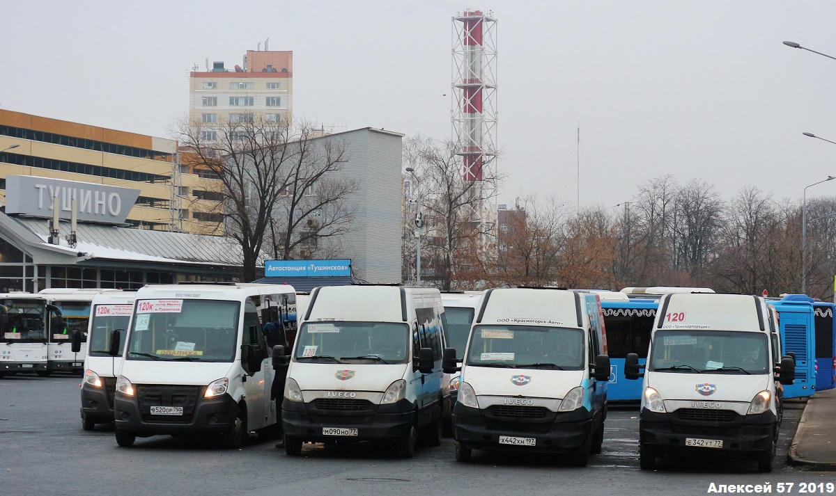 Moscow region, GAZ-A64R42 Next # В 520 ОР 750; Moscow region, Nizhegorodets-2227UU (IVECO Daily) # М 090 НО 77; Moscow region, Nizhegorodets-2227UU (IVECO Daily) # Х 442 ХН 197; Moscow region, Nizhegorodets-2227UU (IVECO Daily) # Е 342 УТ 77; Moscow — Bus stations