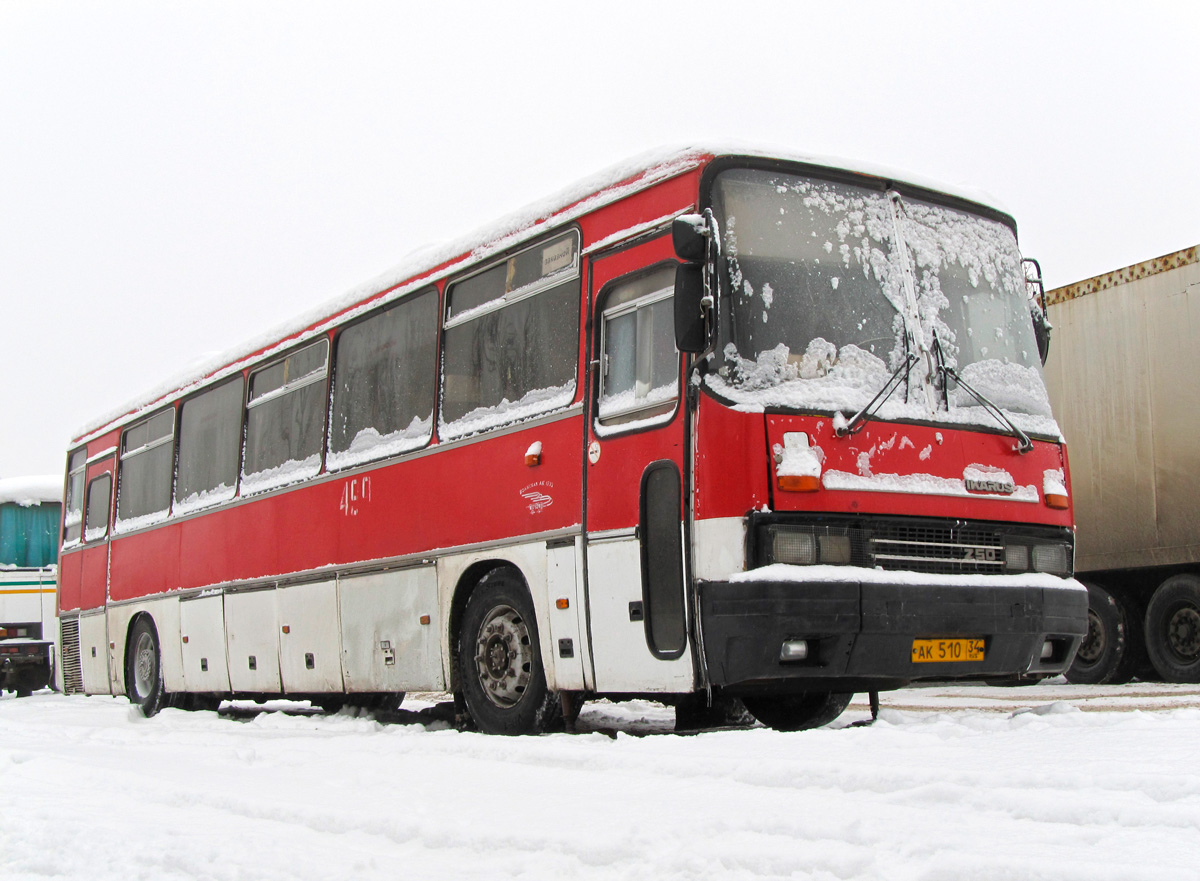 Volgograd region, Ikarus 250.93 # АК 510 34