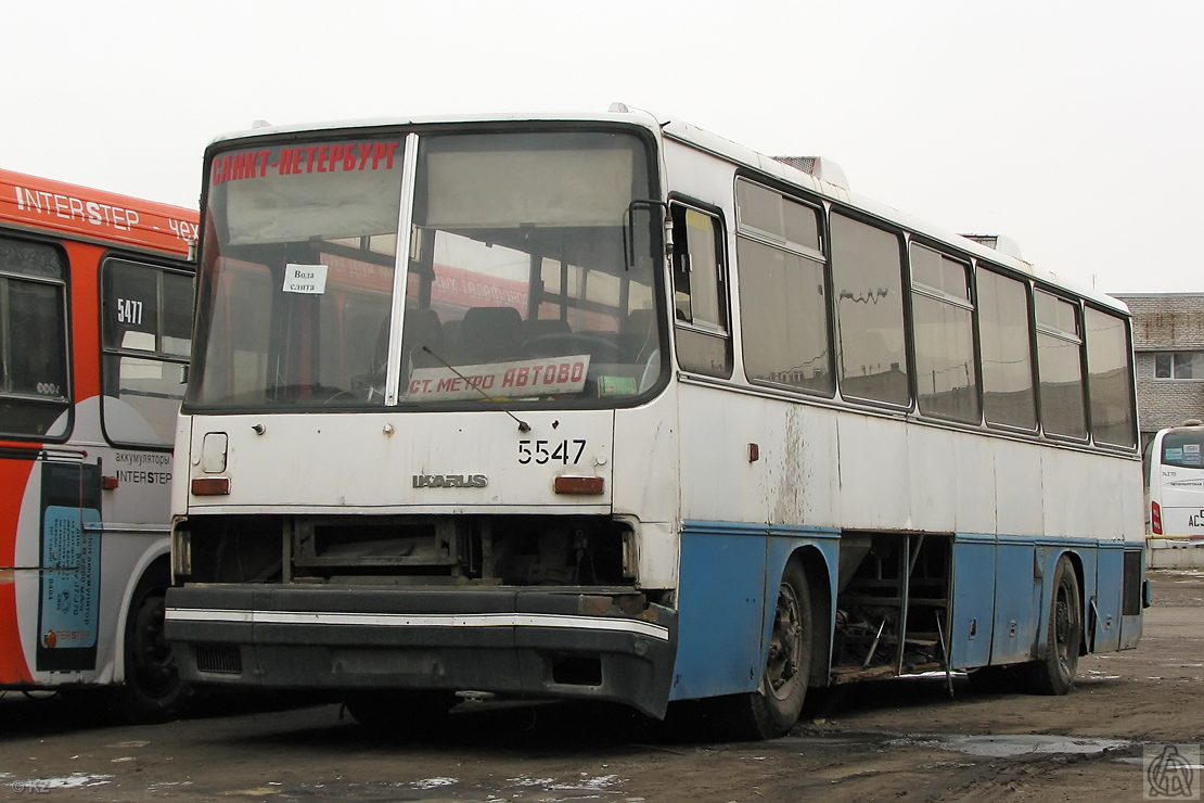 Санкт-Петербург, Ikarus 250.93 № 5547