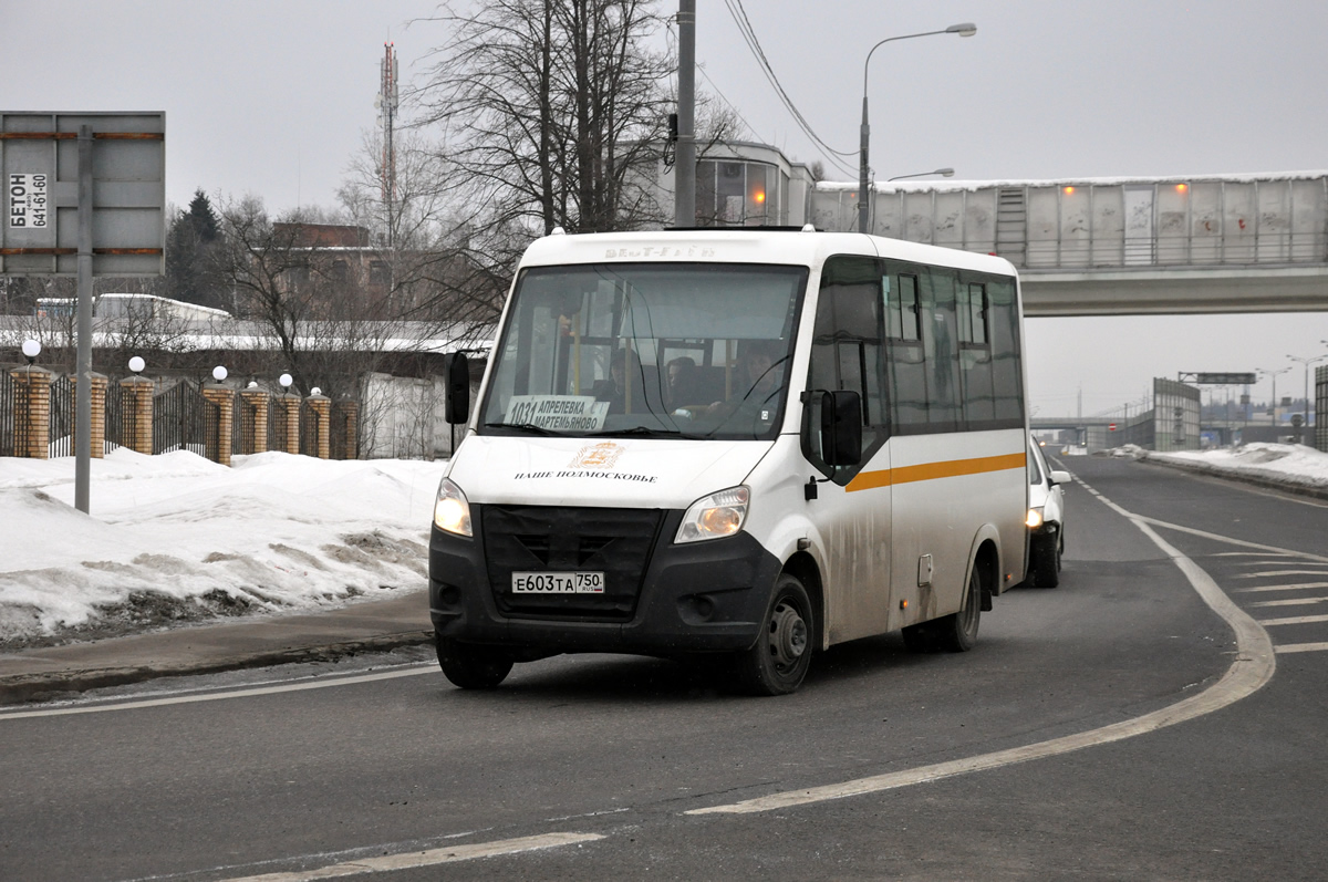 Московская область, Луидор-225019 (ГАЗ Next) № Е 603 ТА 750