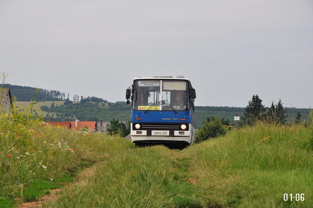 Ουγγαρία, Ikarus 260.50 # BPG-700; Ουγγαρία — Photo tours