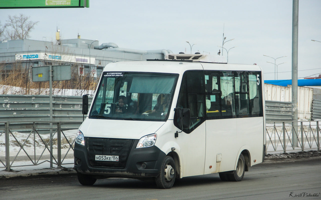 Новосибирская область, Луидор-2250DS (ГАЗ Next) № Н 053 КЕ 154