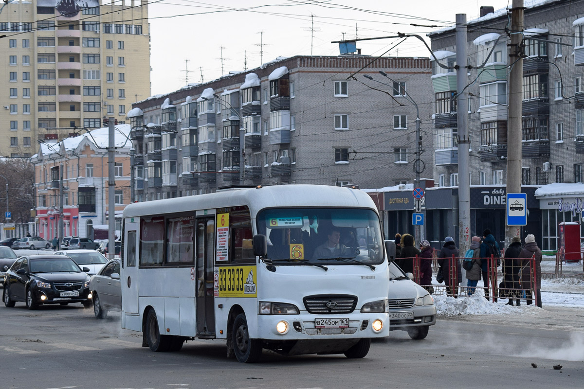 Алтайский край, Hyundai County LWB (ТагАЗ) № В 245 ОМ 161