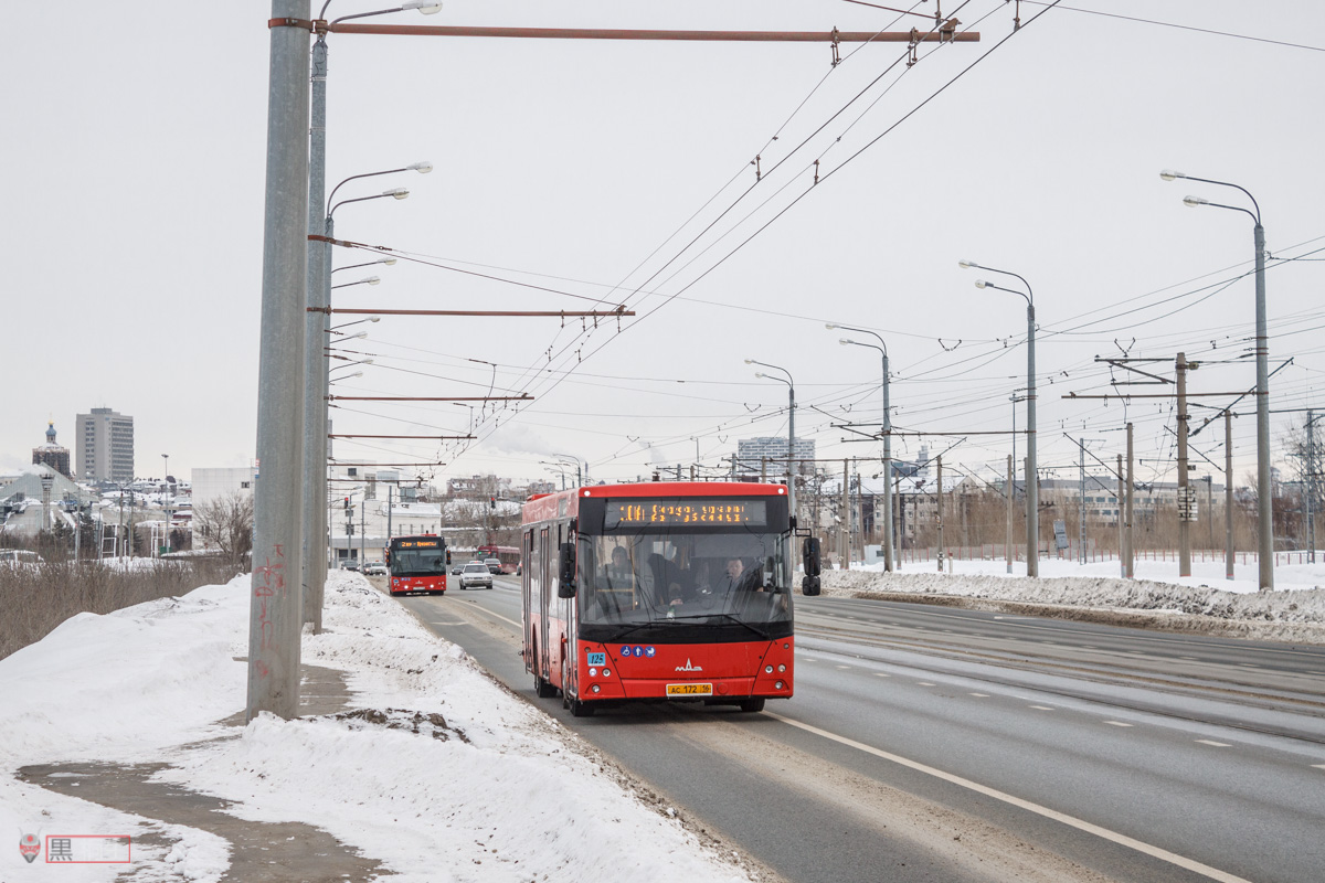 Татарстан, МАЗ-203.069 № 125