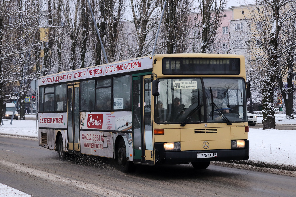 Калининградская область, Mercedes-Benz O405 № Р 775 АР 39