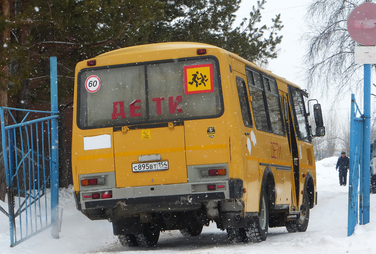 Новосибирская область, ПАЗ-32053-70 № С 895 ВТ 154