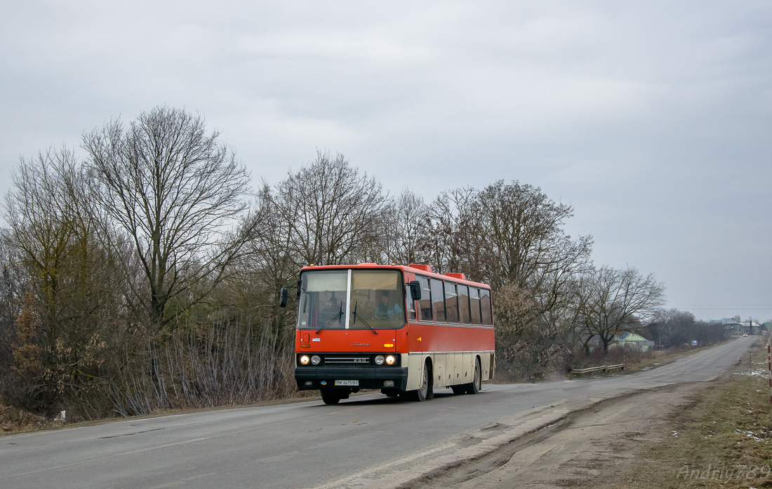 Ровненская область, Ikarus 250.59 № BK 6675 BI