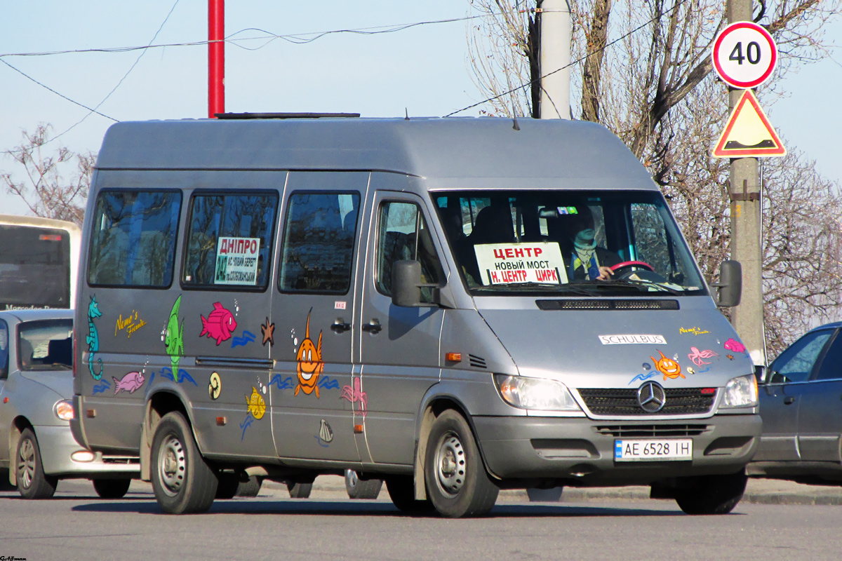 Днепропетровская область, Mercedes-Benz Sprinter W903 313CDI № 4508