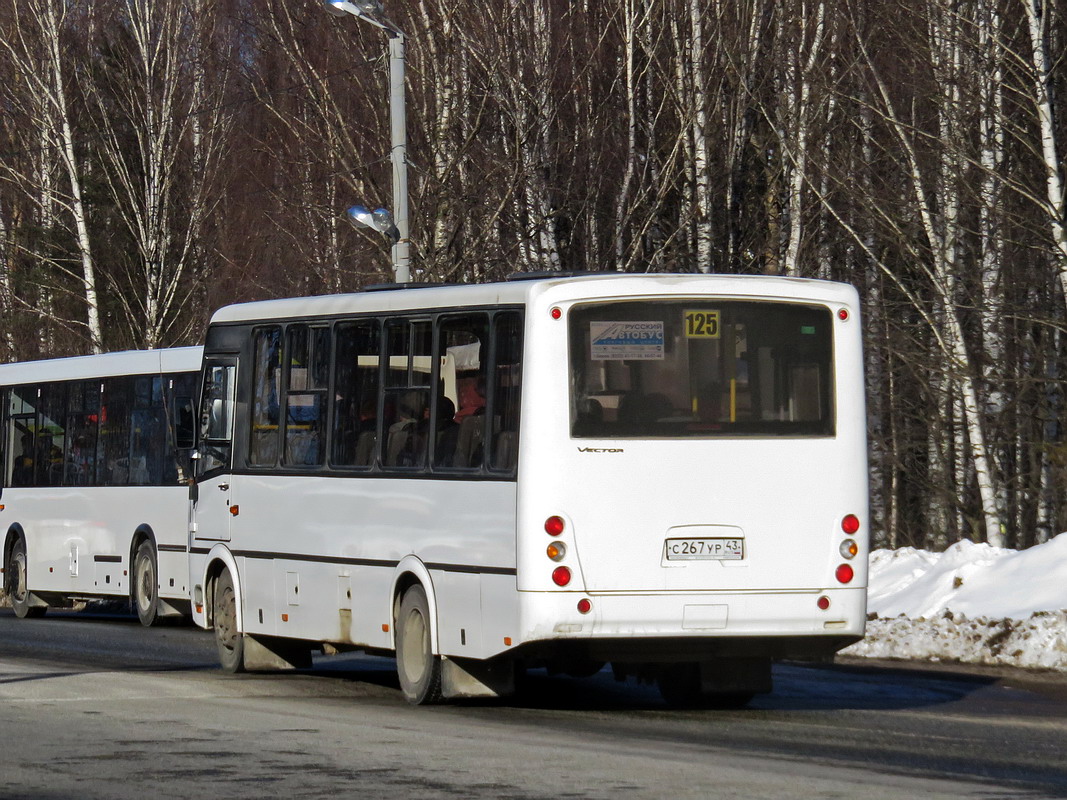 Кировская область, ПАЗ-320412-05 "Вектор" № С 267 УР 43