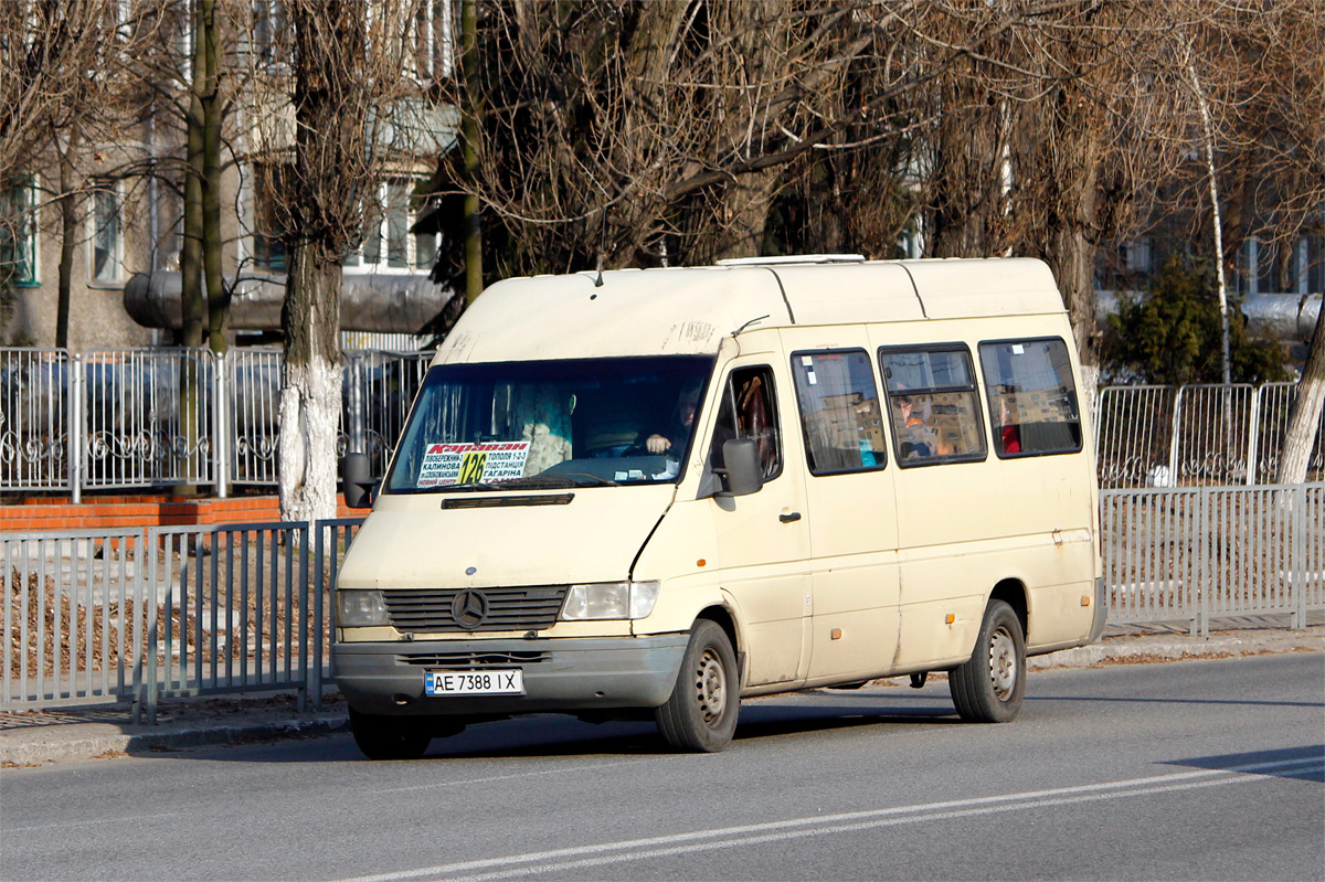 Днепропетровская область, Mercedes-Benz Sprinter W903 312D № AE 7388 IX