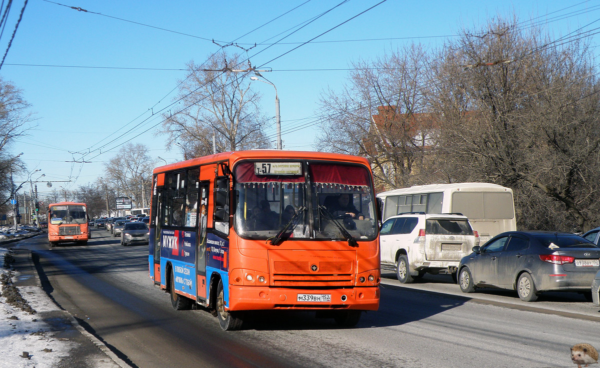 Нижегородская область, ПАЗ-320402-05 № М 339 ВН 152