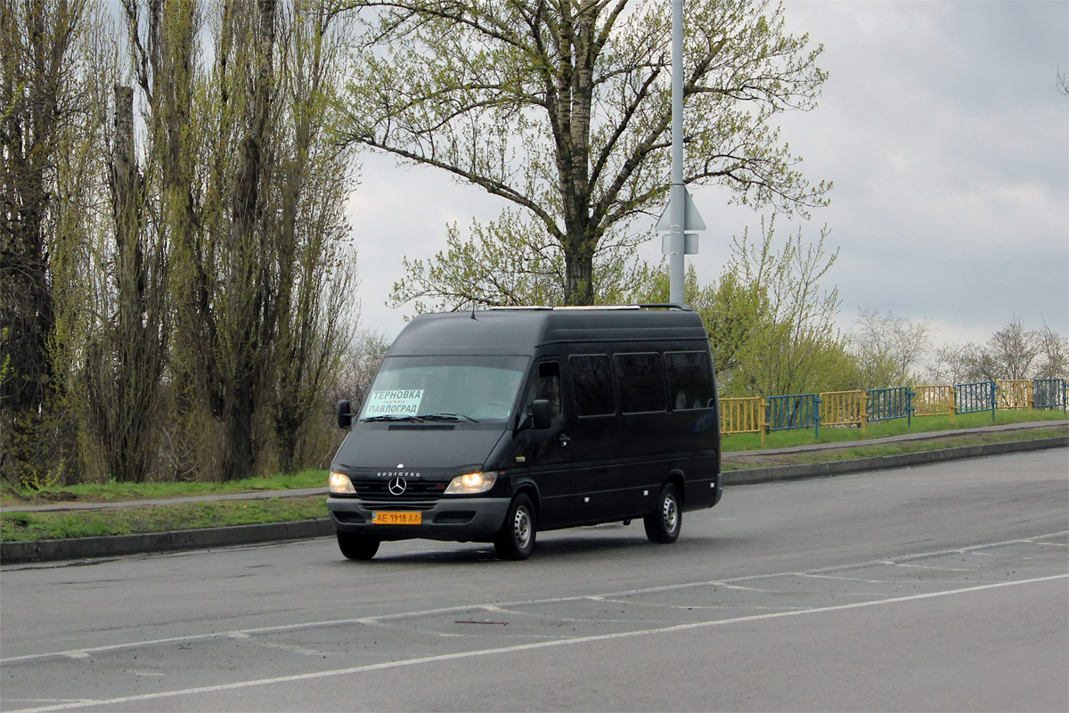 Dnepropetrovsk region, Mercedes-Benz Sprinter W903 313CDI # AE 1918 AA