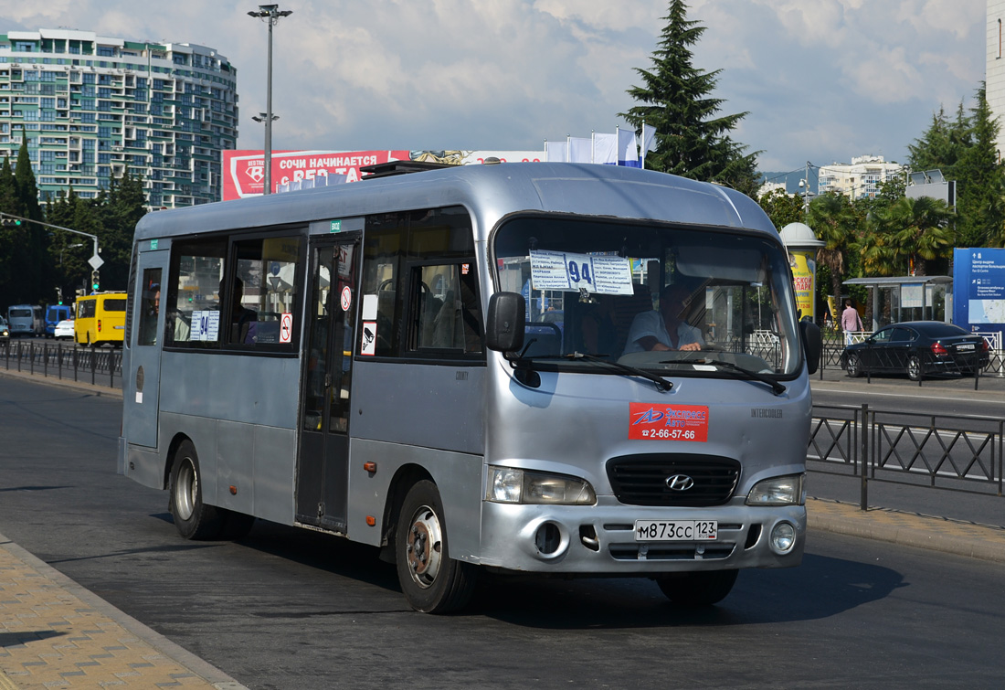 Краснодарский край, Hyundai County LWB C09 (ТагАЗ) № М 873 СС 123