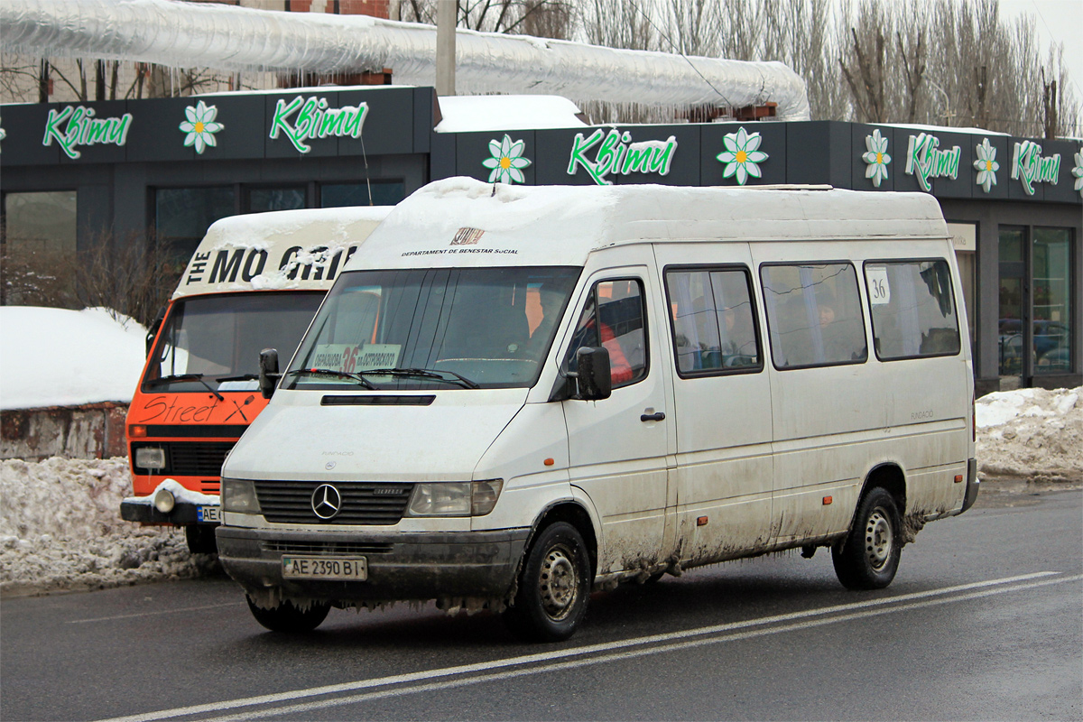 Днепропетровская область, Mercedes-Benz Sprinter W903 308D № AE 2390 BI