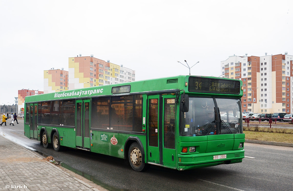 Vitebsk region, MAZ-107.065 Nr. 010730